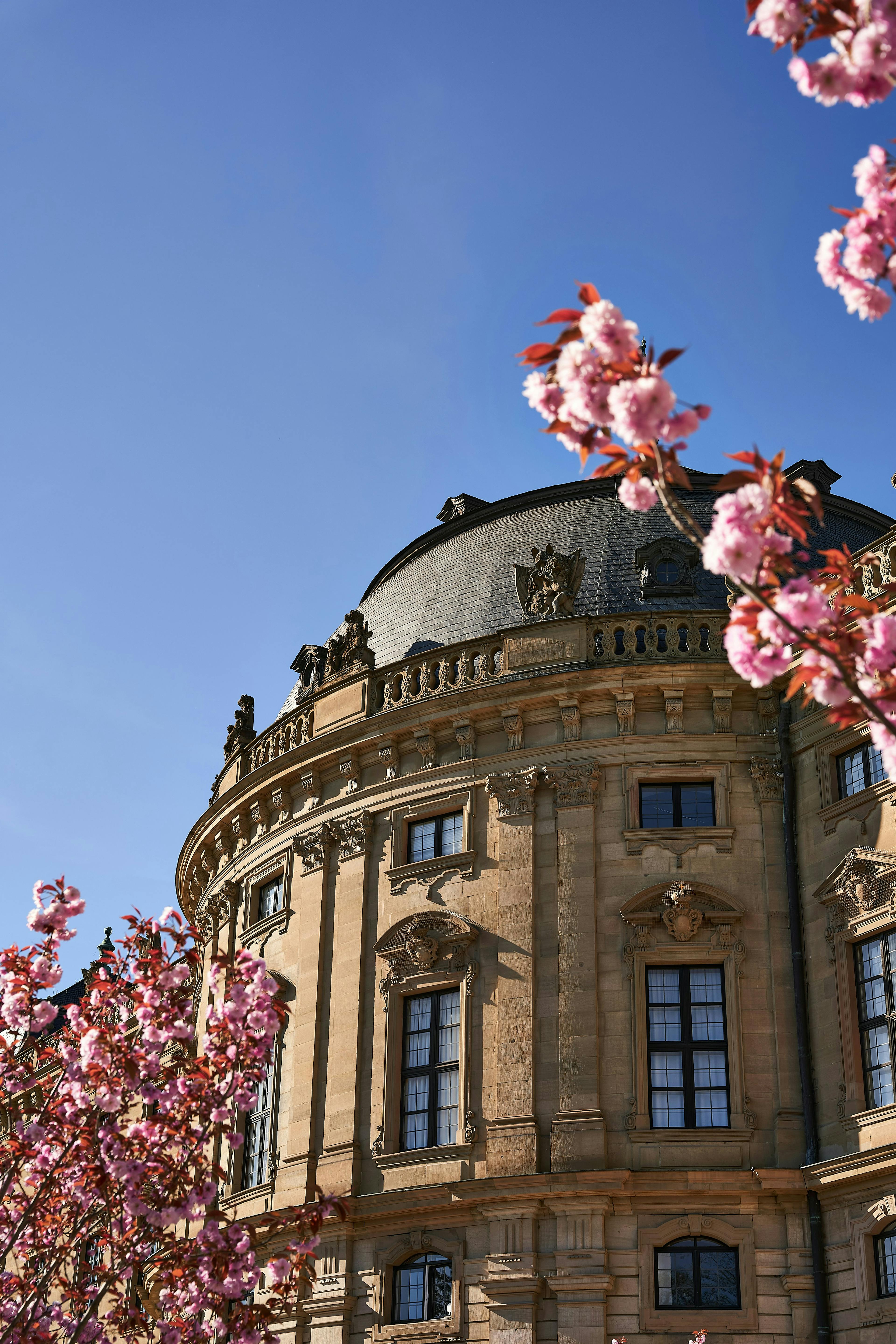 a building with pink flowers on a sunny day